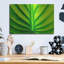 «Green Design 2» par PhotoINC Studio