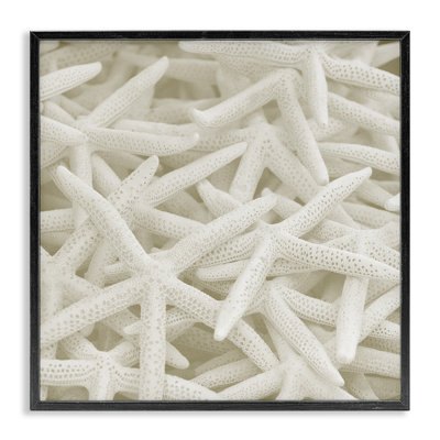 Nautical White Starfish Photography Giclee Art By Lil' Rue