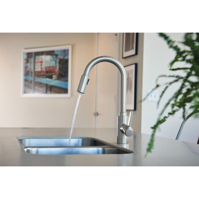 Robinet de cuisine à poignée simple Genta LX avec technologie Power Boost et Duralock