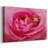 Hanging On VIII-Gallery Wrapped Canvas-1766245930