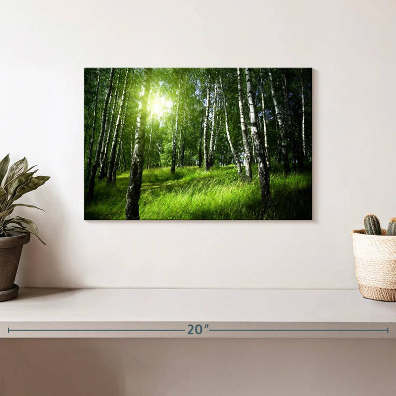 Alvord Birch Forest Sunrise View, 8" H x 12" W