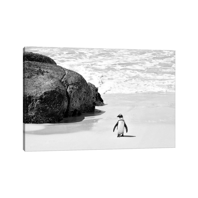 Penguin At Boulders Beach by Philippe Hugonnard - No Frame Gallery-Wrapped Canvas Giclée on Canvas