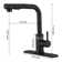 Pull Out Single Handle Kitchen Faucet With Deck Plate and Supply Lines