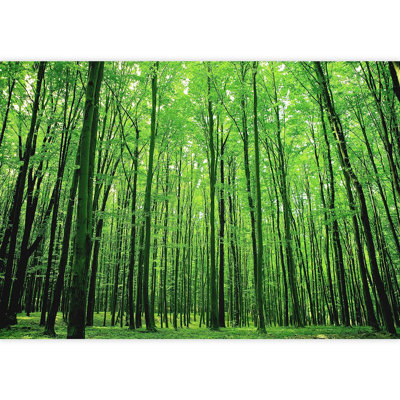 Murale à feuilles vibrantes vert forêt