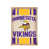 Vikings du Minnesota