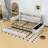 Upholstered Daybed with Twin Trundle, Multi-Functional Storage, USB Ports, and LED Lighting-105413342-105413347