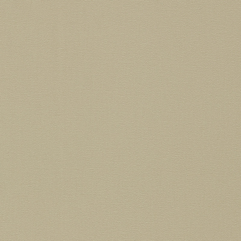 Allegra, Oyster