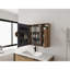 Bathroom Mirror Cabinet with Storage Combination