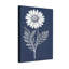Plantes et fleurs marguerite blanche sur fond bleu marine-867584817
