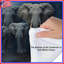 Édredon Elephant Family Artwork-123334797