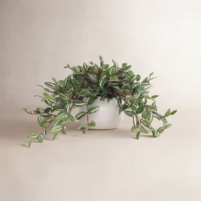 Karas Faux Tradescantia plante dans un vase en céramique