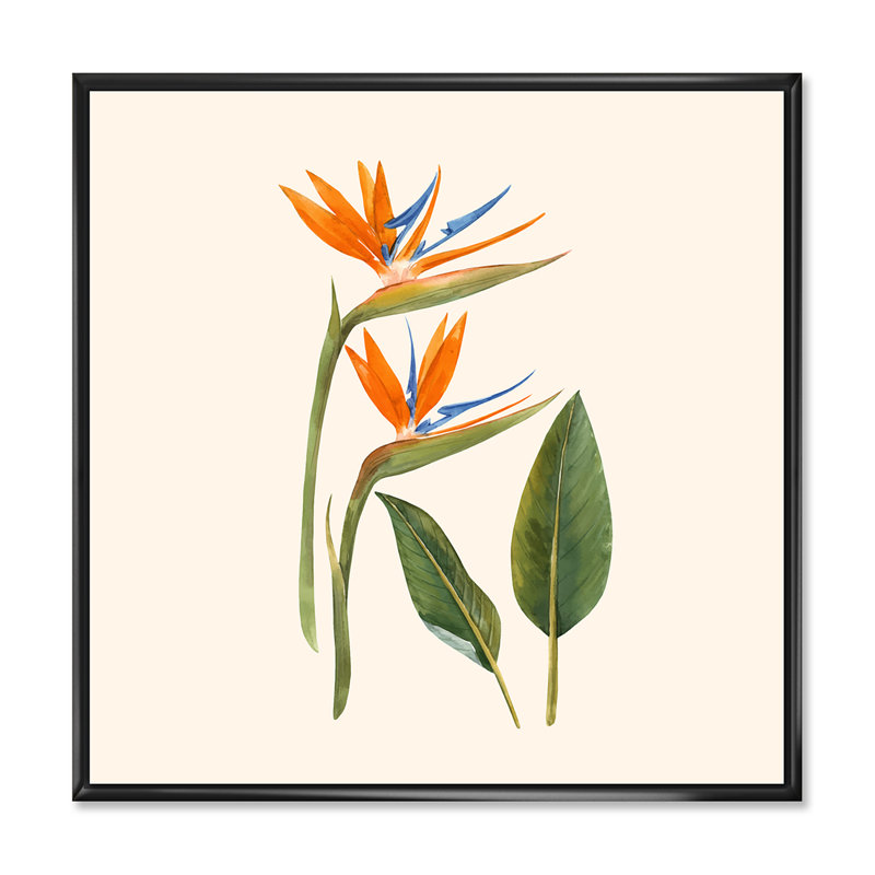 Fleurs de strelitzia rétro - impression sur toile, H 16 po x l 16 po x P 1 po, Cadre flottant noir