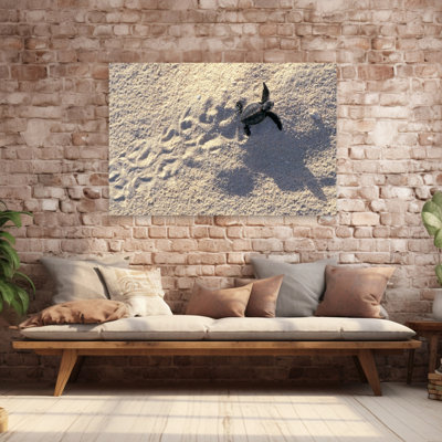 Young Sea Turtle Contemporary Art