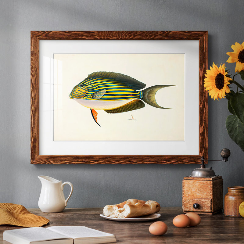 Collection de poissons tropicaux I, H 18 po x l 26 po, Érable