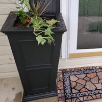 Abram Tall Planter Box Sol 72 Outdoor Color: Black, Set of: 1