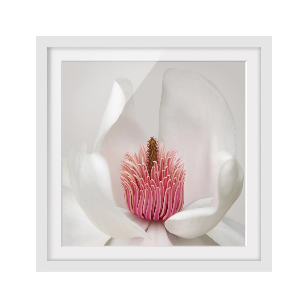 Gerahmtes Papierbild Magnolie in Rosa