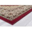 Oriental Area Rug in Red