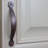 Deco 3" Center to Center Arch Pull-15187463