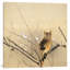 Early Plum Blossoms by Piet Mondrian - Wrapped Canvas Painting-42158940