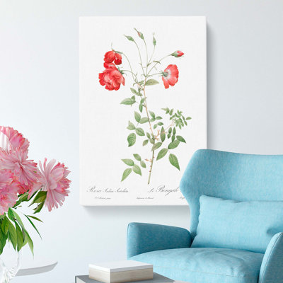 Roses by Pierre-Joseph Redoute - Wrapped Canvas