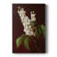 FLORAL Series CXCIX - Gallery Cavas-1955986088