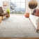 Talarico Geometric Hand Woven Area Rug
