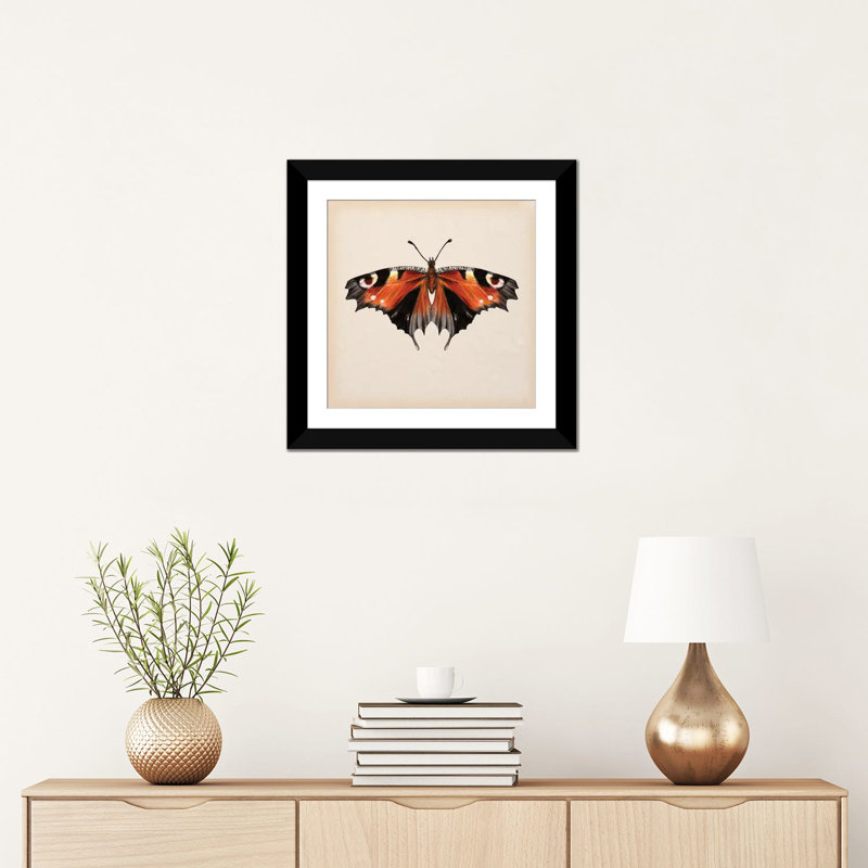 «Butterfly Study V», impression sur toile, Papier beaux-arts encadré noir, Blanc, H 16 po x l 16 po x P 1 po