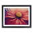 Black Framed selected