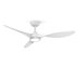 White with White Blades