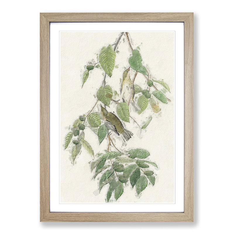 Autumnal Warbler by John Audubon - Single Picture Frame Painting, 63cm H x 45cm W x 2cm D, Oak Framed
