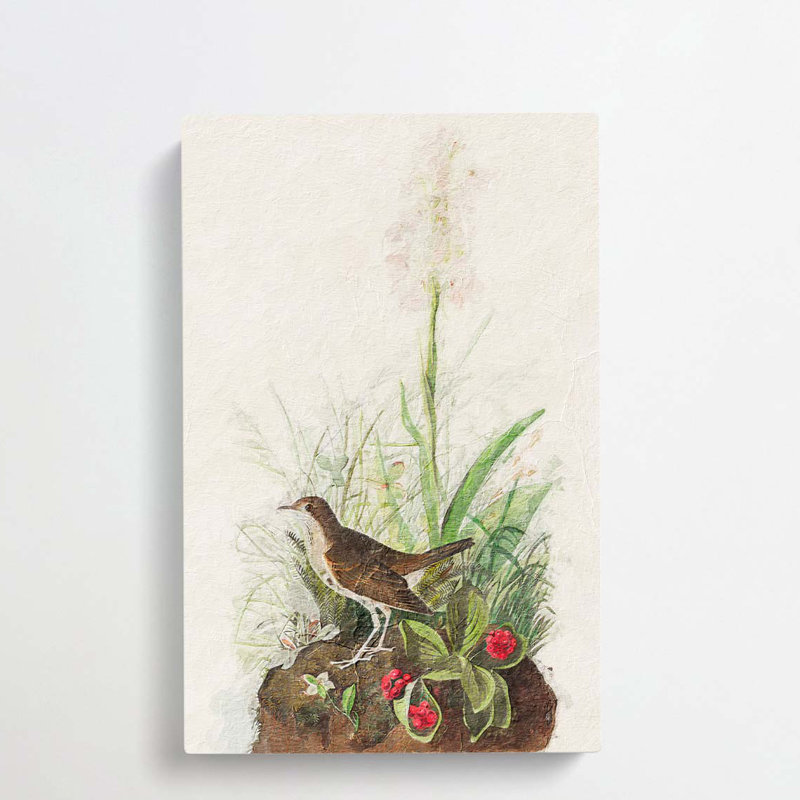 Tawny Thrush - Wrapped Canvas Painting, 76cm H x 50cm W x 3cm D