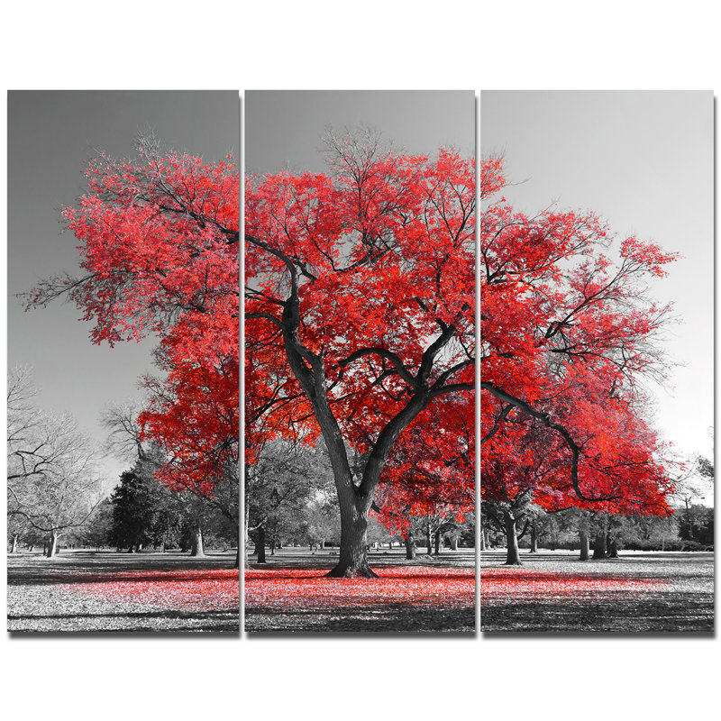 « big red tree on brumey day », reproduction de photo à multiples images sur toile