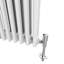 Zoie Horizontal Traditional Colosseum Radiator-165235307