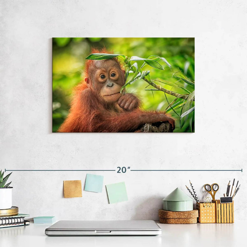 Leaf Munching Orangutan, 8" H x 12" W