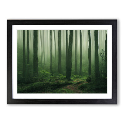 XH1022-647X Angelical Forest - Single Picture Frame Painting