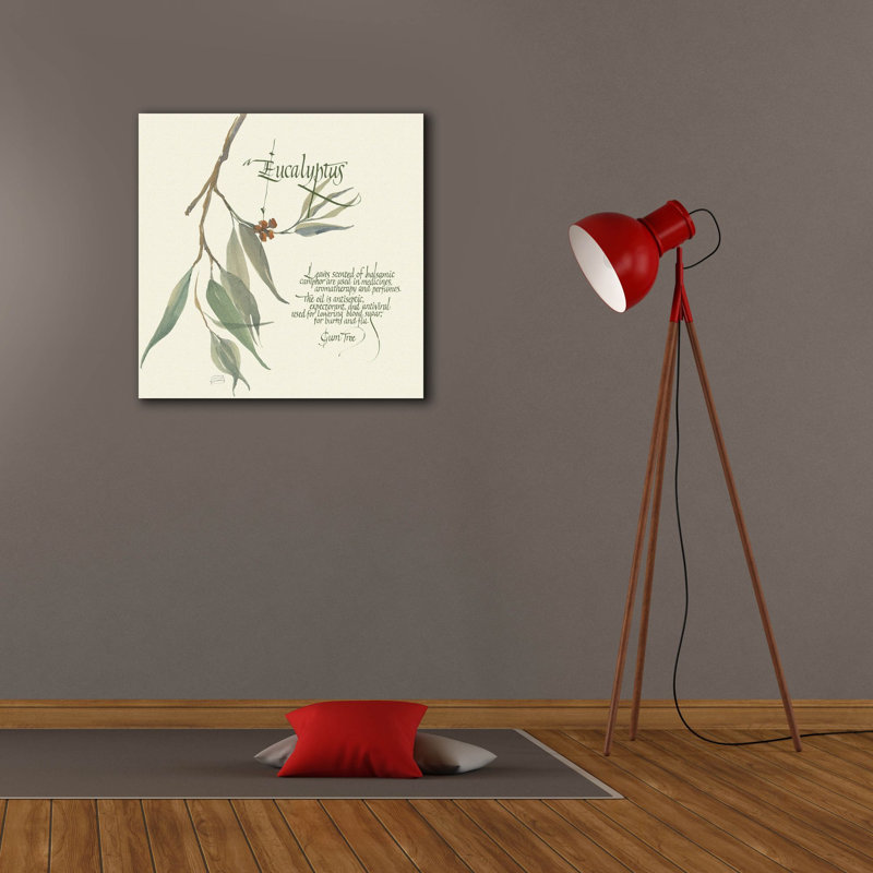  ' Eucalyptus' by Chris Paschke Canvas Wall Art, 26" x 26"