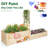 Raised Garden Bed With Trellis