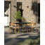 Teak Patio Dining Armchair with Cushion
