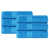 Aster Blue