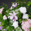 55 po x 43,3 po de fleurs artificielles en centre de table avec motif floral, fleurs roses / mauves avec feuilles vertes