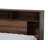 Ciceri Bookcase Bed with Drawers and Shelves