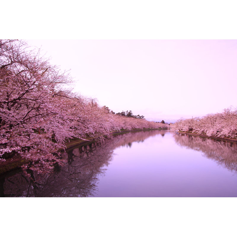 Moat And Cherry Blossoms - Wrapped Canvas Print, 30cm H x 46cm W x 3.8cm D
