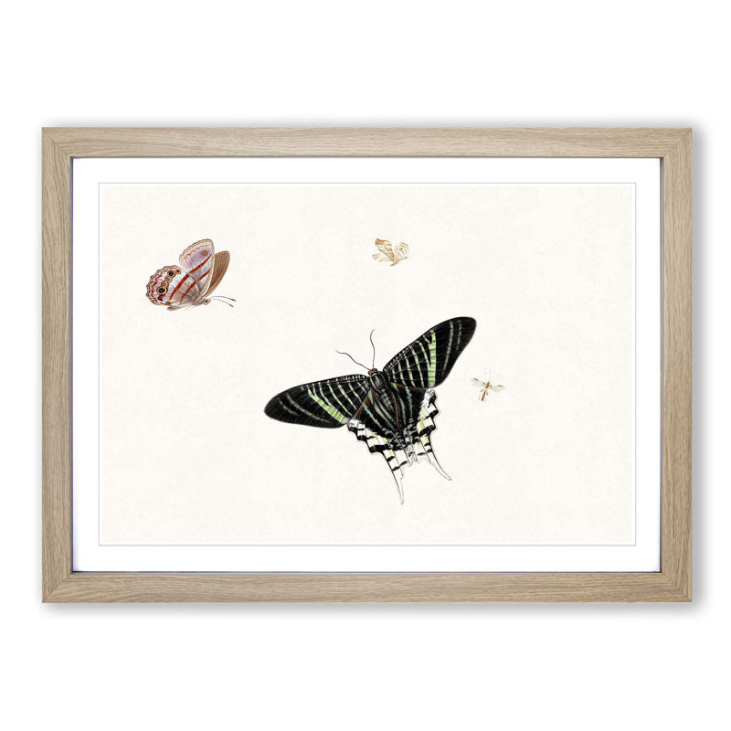 A Wasp and Three Butterflies by Herman Henstenburgh - Picture Frame Painting Print on Paper, Oak Framed