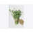 Toile tendue