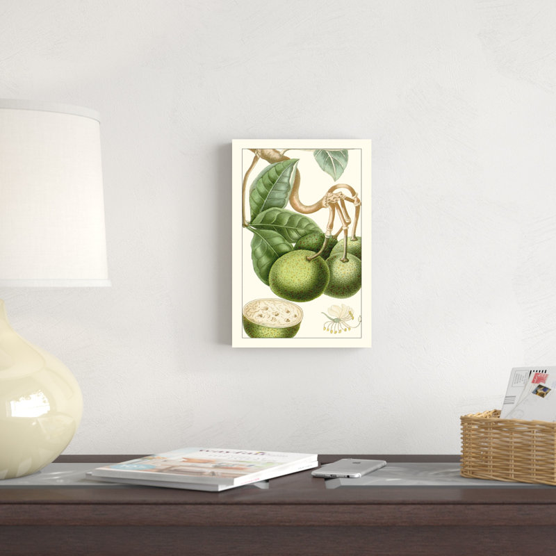 Turpin exotique botanique VI, H 12 po x l 8 po x P 1,25 po