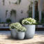 Jardinière Lughan-1732785465