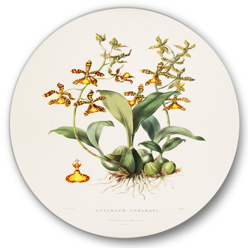 Rétro fleur I - art mural traditionnel en cercle métallique, H 36 po x l 36 po x P 1 po