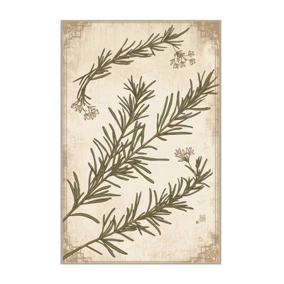 Tapis beige moelleux moelleux de style rustique rustique de style romarin - reliure beige