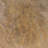 Marzana Aurelia 18 in. x 18 in. Honed Travertine Floor and Wall Tile