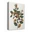 Fall Folage - impression sur toile tendue-2083008208